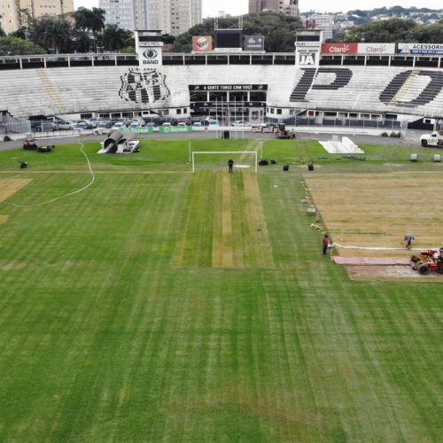 Após iniciar revitalização no CT, Ponte Preta planeja troca de gramado no Moisés Lucarelli